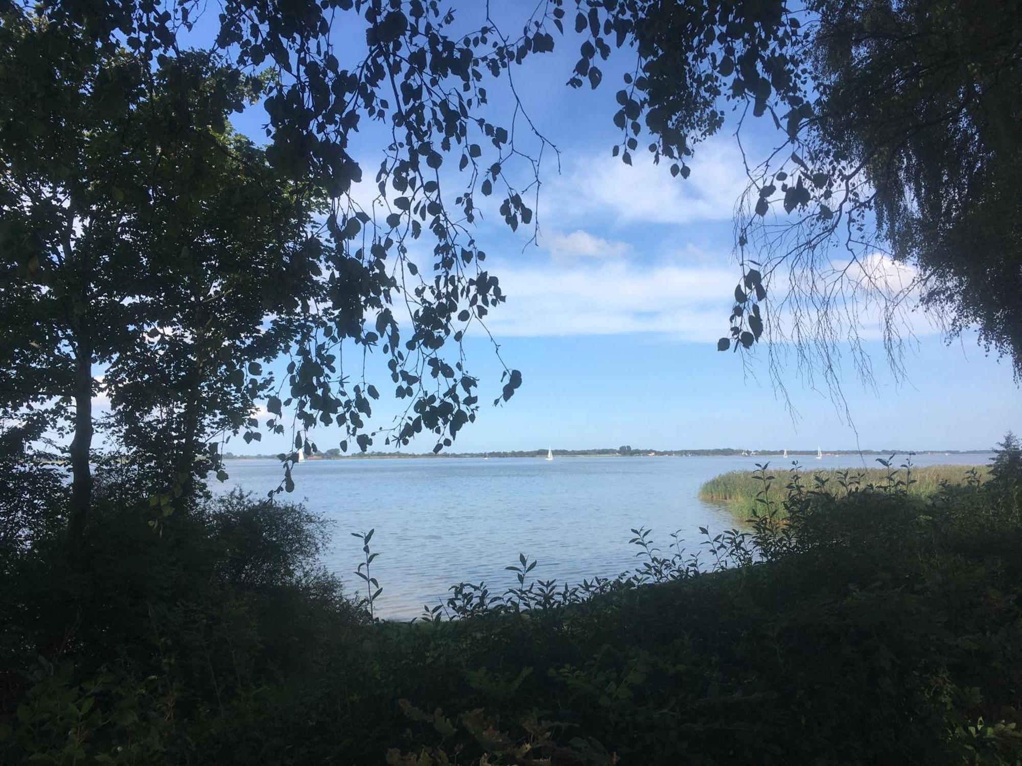 Ferienwohnung Am Strelasund Sundhagen-Niederhof Zewnętrze zdjęcie